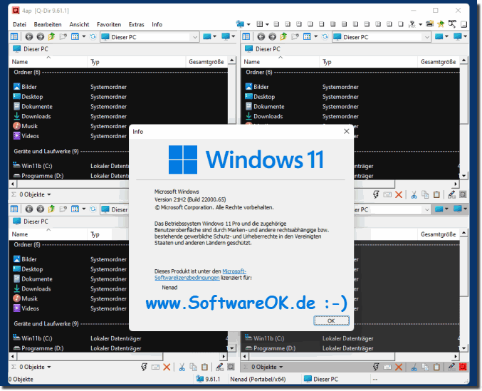 Q-Dir 11.32 instal the new version for windows
