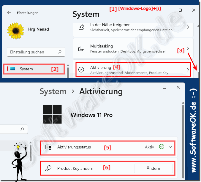 Prfen ob das Windows 11 aktiviert ist in System!