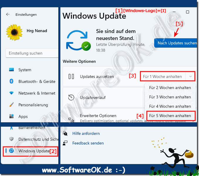 Windows 11 Auto-Updates fr 5 Wochen deaktivieren!