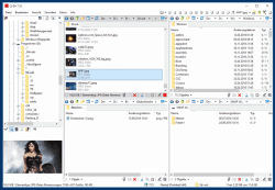 Q-Dir vielseitiges Datei-Management-Programm Windows XP 2 