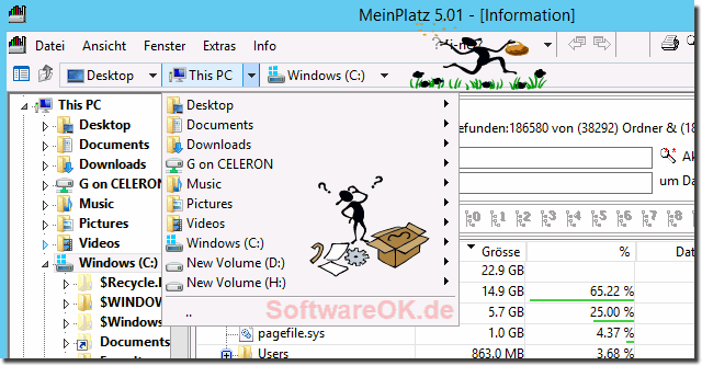 instal the new for windows MeinPlatz 8.21