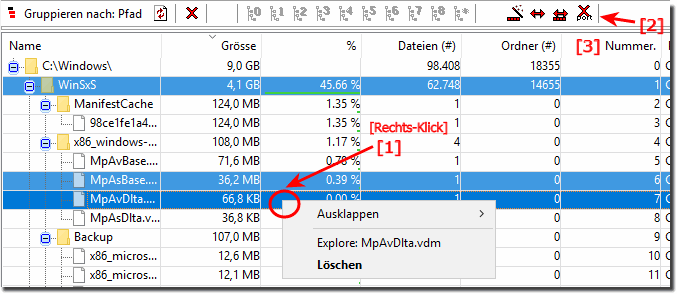 Größte Dateien der Festplatte Löschen!