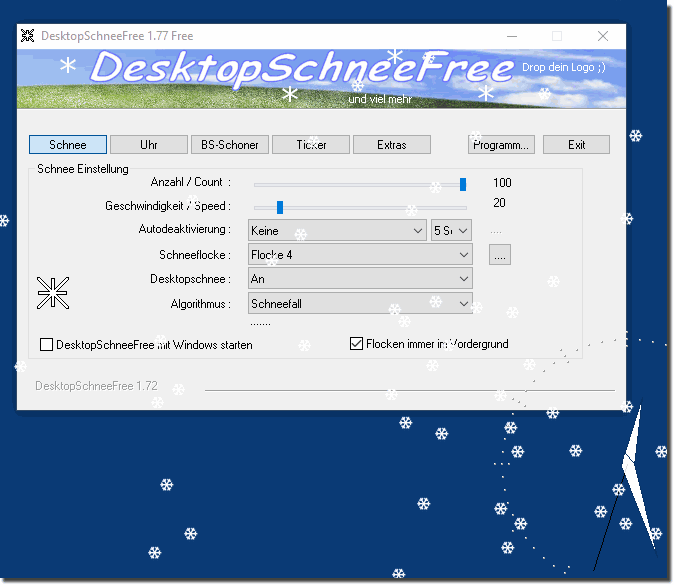 DesktopSnowOK 6.24 instal